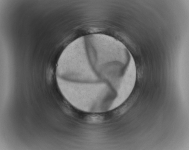 X0000113270327200910221104