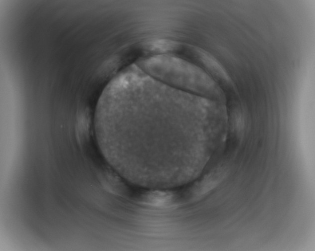 X0000113270328200910221104