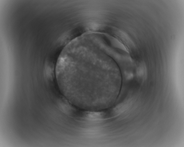 X0000113270332200910221104