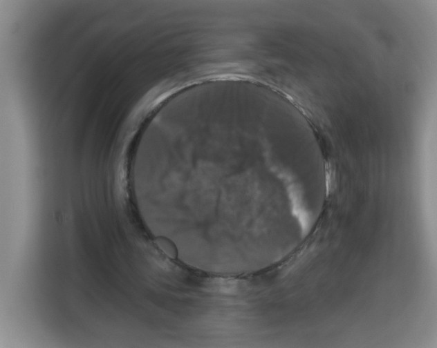 X0000113270339200910221103