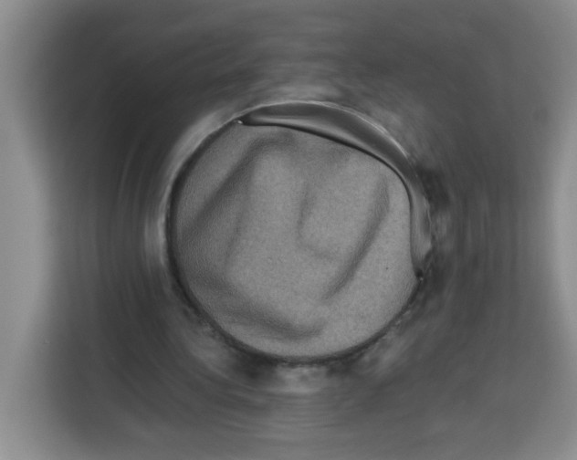 X0000113270340200910221103