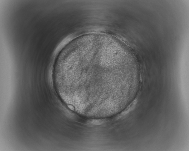 X0000113270341200910221103