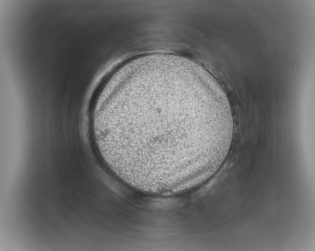 X0000113270342200910221103