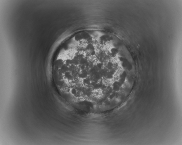 X0000113270343200910221103