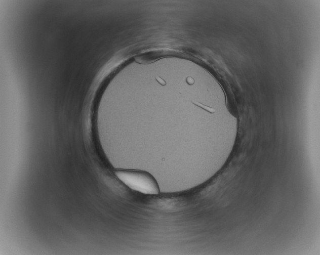 X0000113270344200910221103