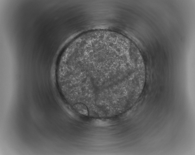 X0000113270346200910221103