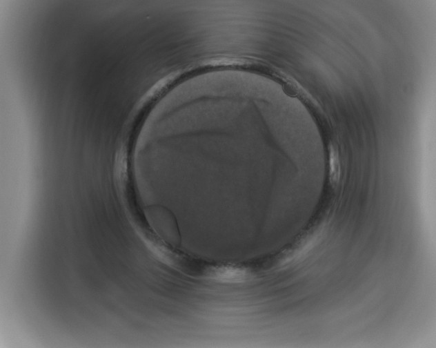 X0000113270348200910221103