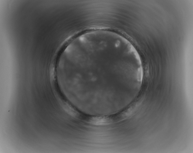 X0000113270351200910221103