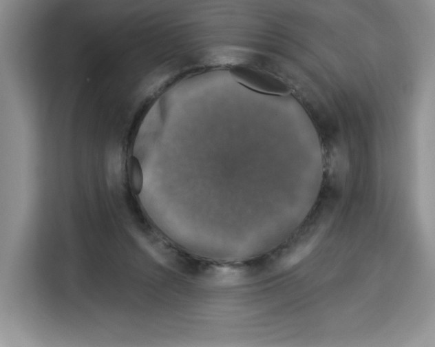 X0000113270352200910221103