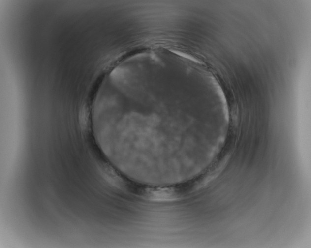 X0000113270359200910221104