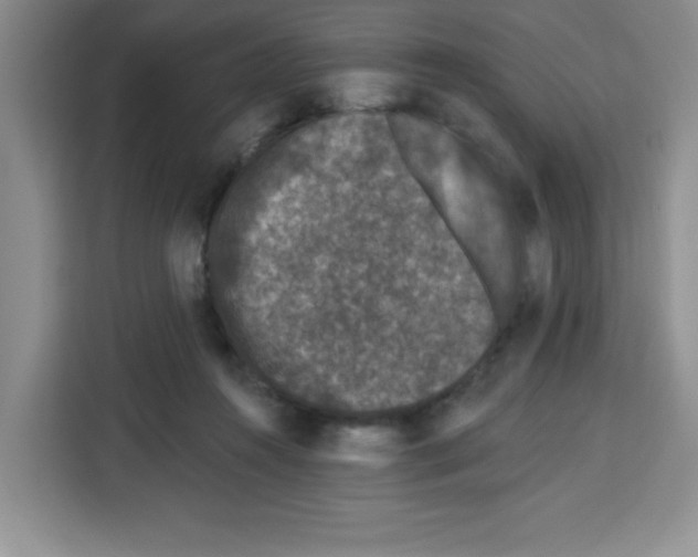 X0000113270360200910221104