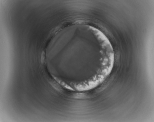 X0000113270361200910221104