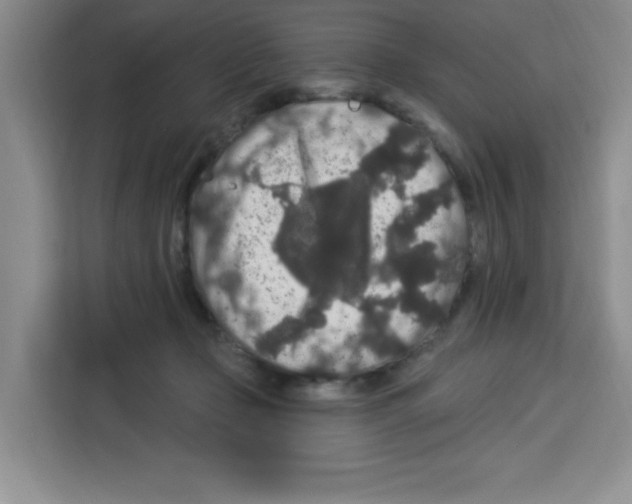 X0000113270365200910221104