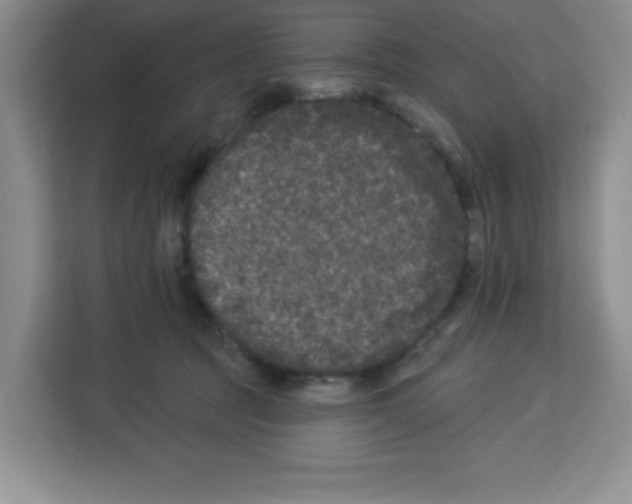 X0000113270369200910221104