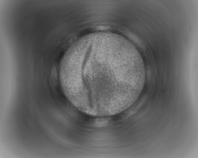 X0000113270373200910221104