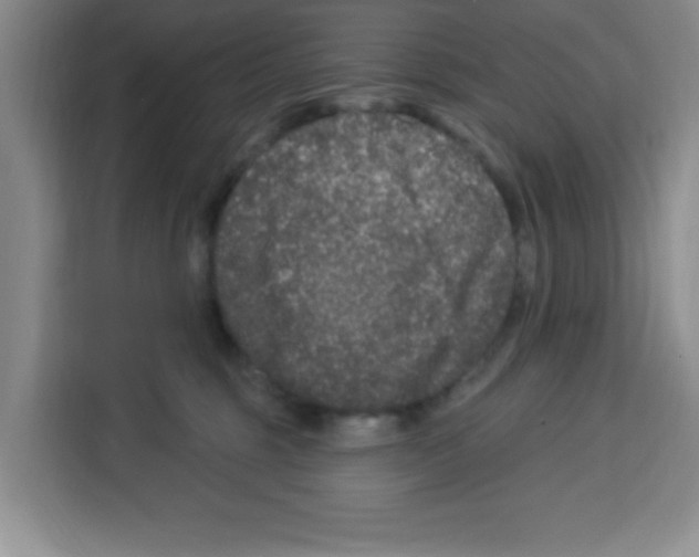 X0000113270375200910221104