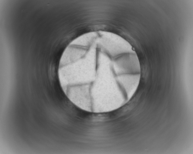 X0000113270378200910221104