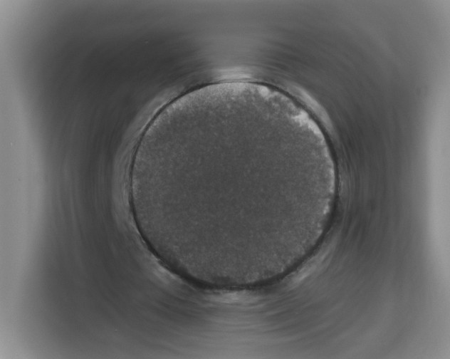 X0000113270385200910221103