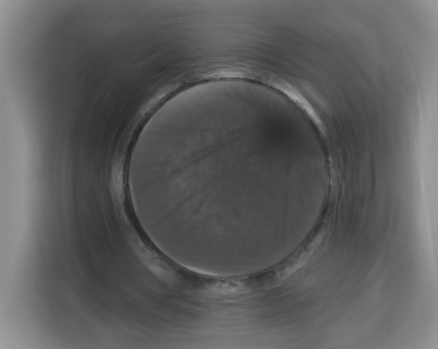 X0000113270386200910221103