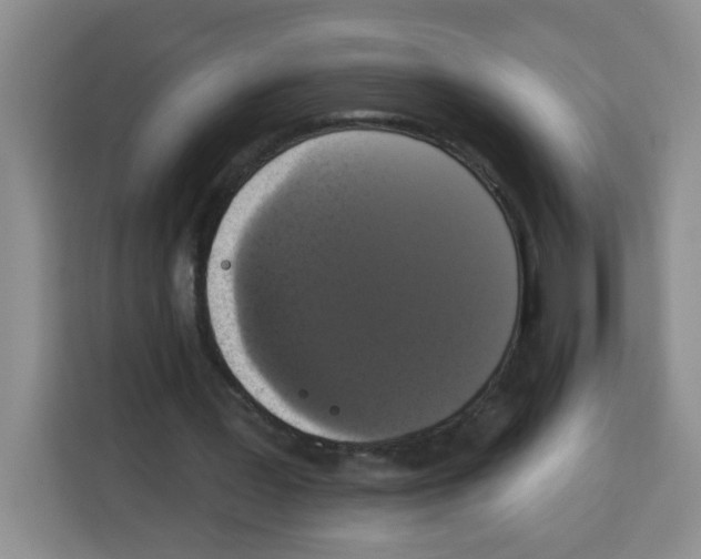 X0000113270387200910221103