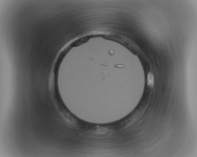 X0000113270388200910221103