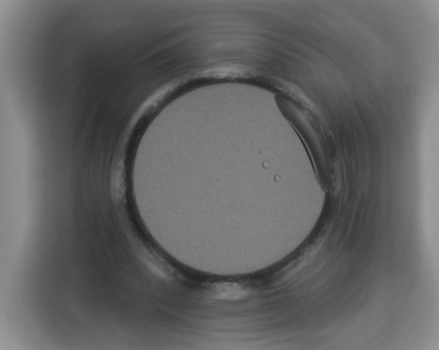 X0000113270392200910221103