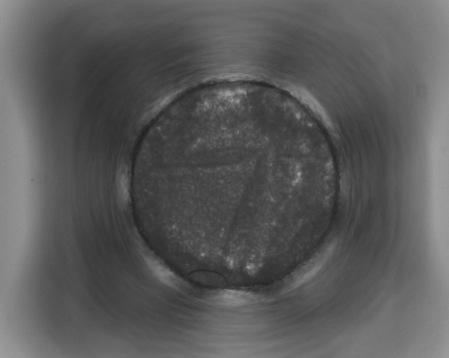 X0000113270393200910221103