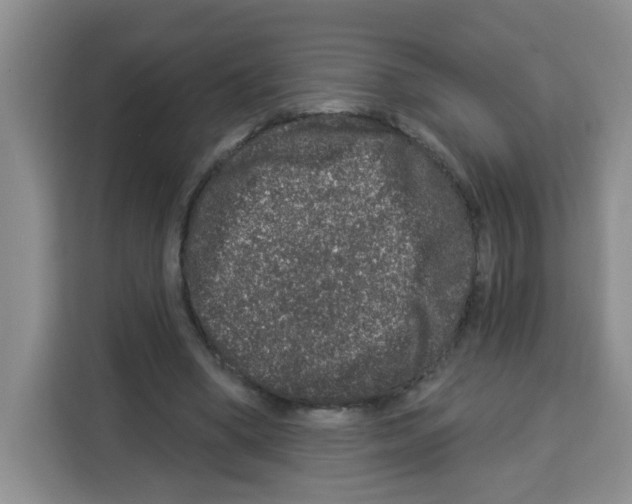 X0000113270394200910221103