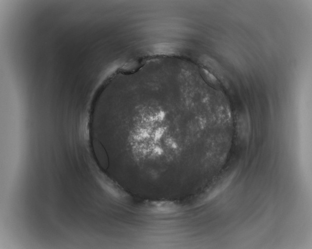 X0000113270395200910221103