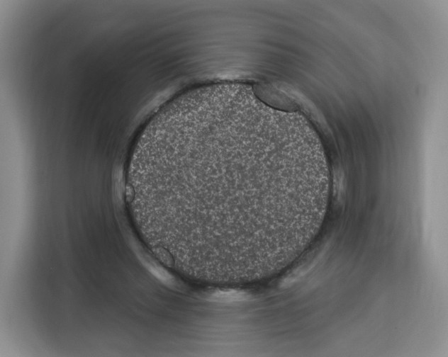 X0000113270397200910221103