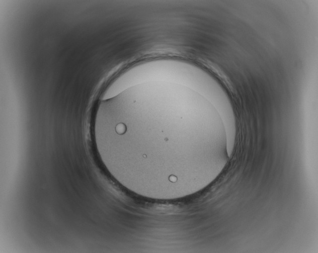 X0000113270399200910221103