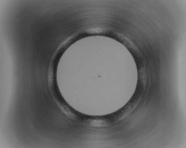 X0000113270400200910221103