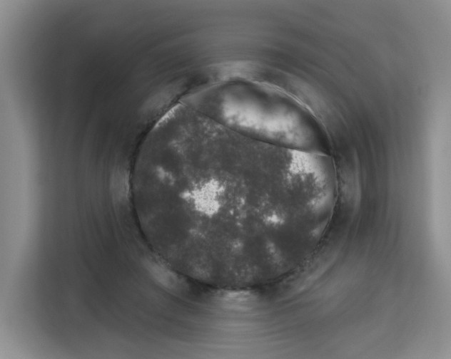 X0000113270401200910221103