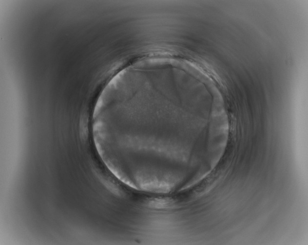 X0000113270402200910221103