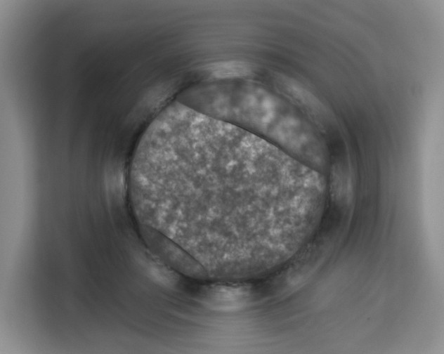 X0000113270405200910221103