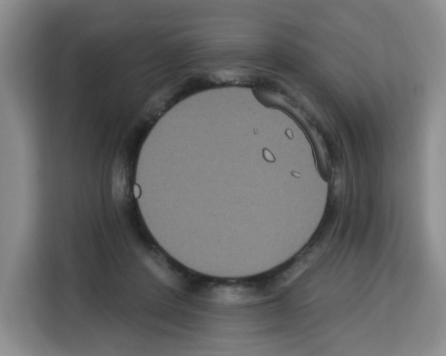 X0000113270408200910221103