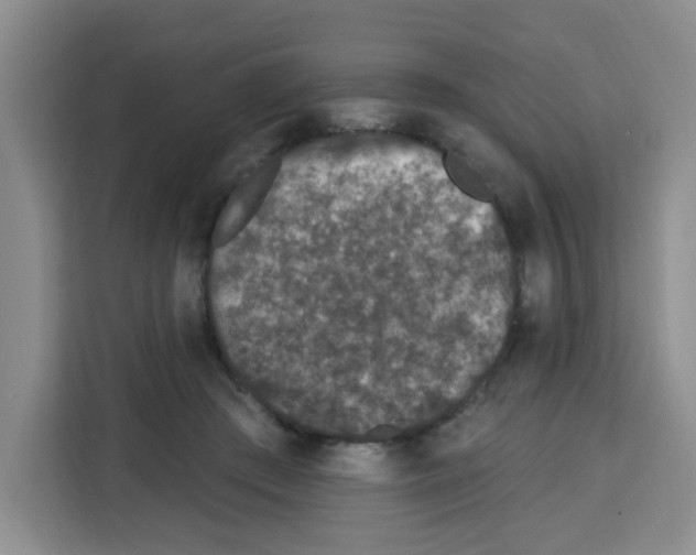 X0000113270409200910221103