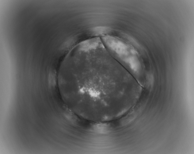 X0000113270413200910221103