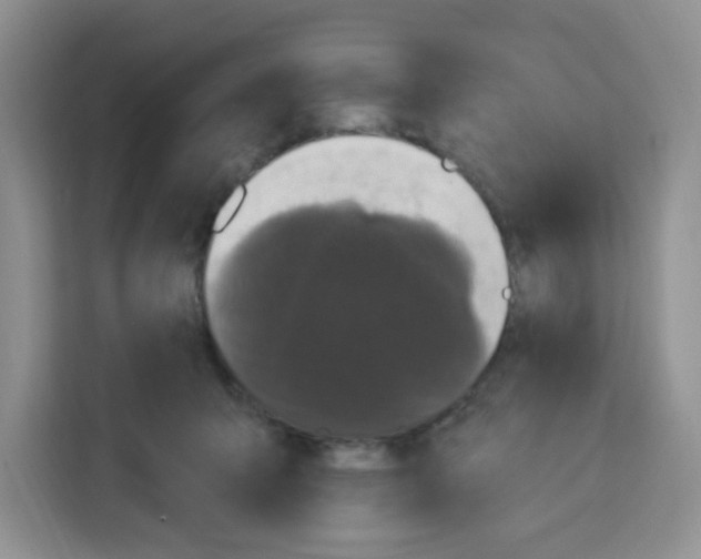 X0000113270415200910221103