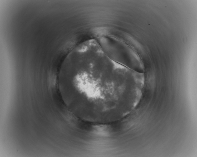 X0000113270417200910221103