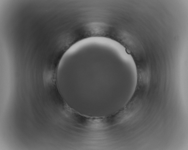 X0000113270419200910221103