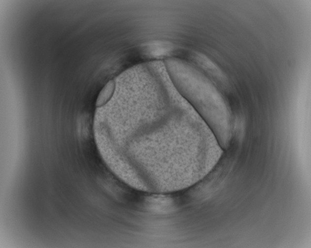 X0000113270421200910221103