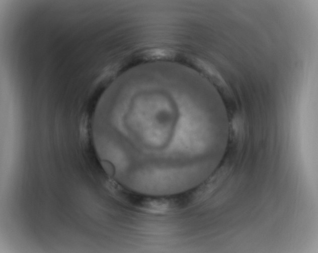 X0000113270423200910221103