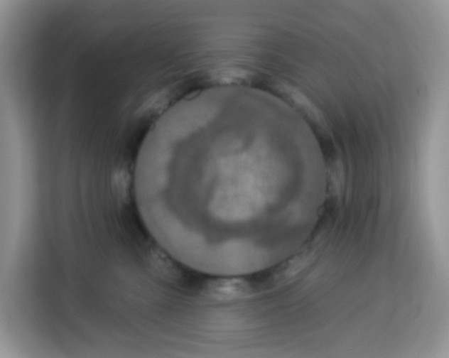 X0000113270427200910221103