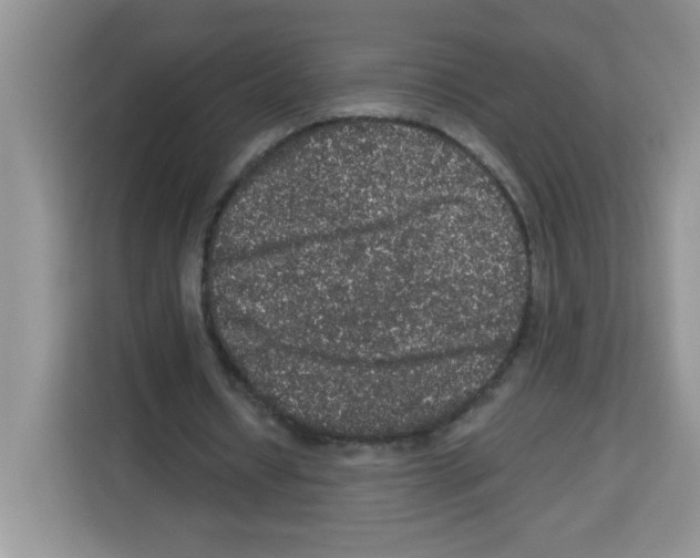 X0000113270434200910221102