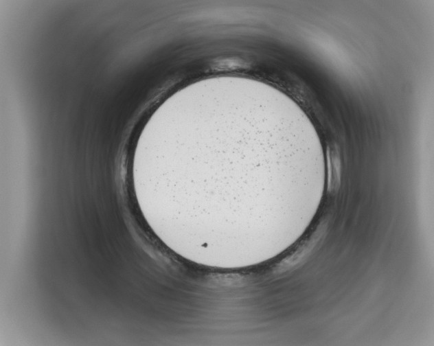 X0000113270435200910221102