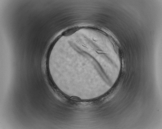 X0000113270436200910221102