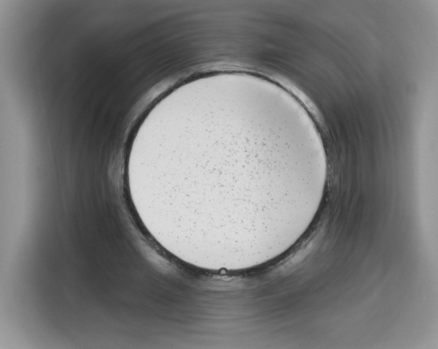 X0000113270437200910221102