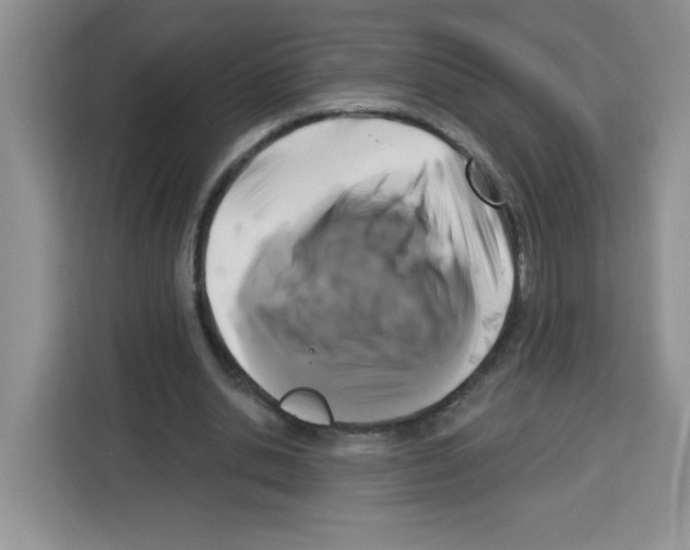 X0000113270438200910221102