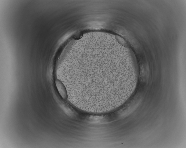 X0000113270440200910221102